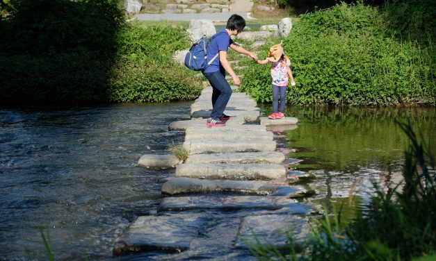 Day 14 : Exploring Yongin