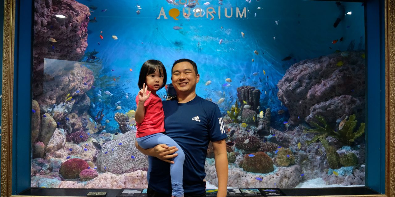 Day 6 : Coex Aquarium