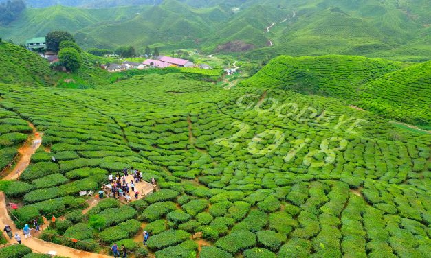 The Year that was 2018