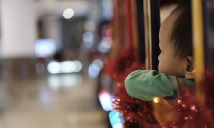 Zacharias Christmas Train Story