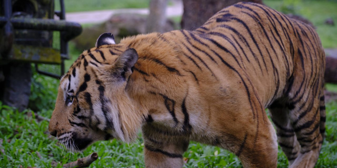 Wongs to Melacca Johor Holiday