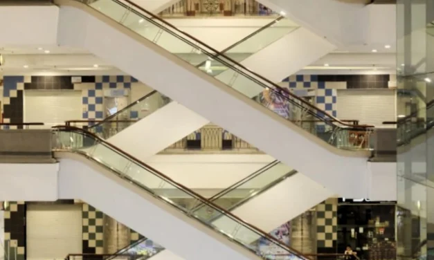 Accidental Masterpeice